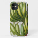 Search for banana tree iphone cases Botanical