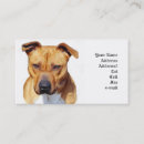 Search for pitbull business cards Terrier