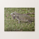 Search for reptile puzzles Animal
