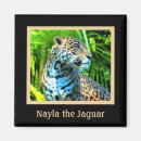 Search for jaguar magnets Leopard