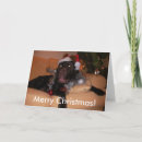 Search for labrador christmas cards Xmas
