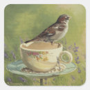 Search for sparrows labels Garden