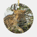 Search for fierce christmas tree decorations Leopard