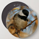 Search for chickadee badges Songbird