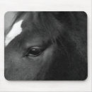 Search for black white horse mousepads Portrait