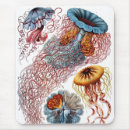 Search for sciences electronics Biology