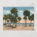 Search for south island postcards Palm trees