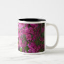 Search for courtyard mugs Photography