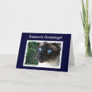 Search for siamese cat christmas cards Snowflakes