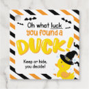 Search for cruising ducks Cruising duck tags