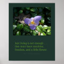 Search for crocus posters Garden