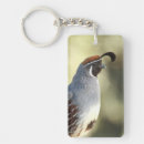Search for male the key rings Wildlife
