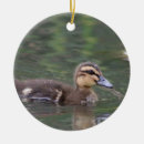 Search for duck christmas tree decorations Animals