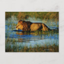 Search for okavango postcards Animals in the wild