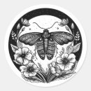 Search for moth stickers Dark academia