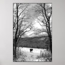 Search for ferus posters Horse