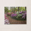 Search for pathway puzzles Trail