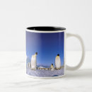 Search for antarctic mugs Ocean