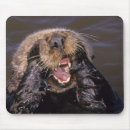 Search for bradley mousepads Mammal