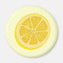 Search for lemon slice magnets Food