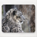 Search for snow leopard mousepads Leopards