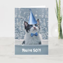 Search for funny cat 50th birthday cards Cute