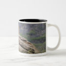 Search for female lion mugs Wildlife