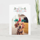 Search for dog photo christmas cards Modern