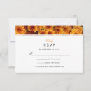 Search for chrysanthemums Elegant