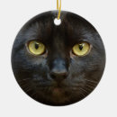 Search for spooky christmas decor Kitty