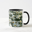 Search for shasta mugs Daisy
