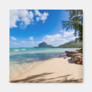 Search for mauritius magnets Sea