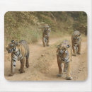 Search for rare animals mousepads Tiger