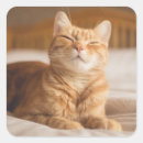 Search for sleepy cat stickers Tired