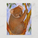 Search for outback invitations Party
