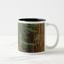 Search for yosemite coffee mugs Sequoia