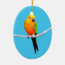 Search for conure christmas tree decorations Pet