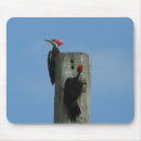 Search for woodpecker mousepads Animals