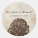 Search for vintage oak tree stickers Fall