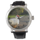 Search for male watches Pet