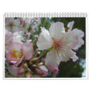 Search for israel calendars Christian