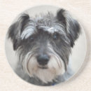 Search for schnauzer coasters Pets