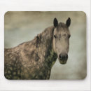 Search for dapple mousepads Grey