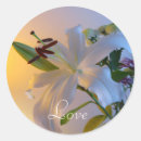 Search for white lily stickers Flowers