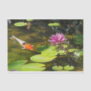Search for koi fish tissue paper Nature