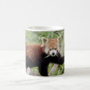 Search for red panda coffee mugs Photography