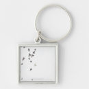 Search for flocking key rings Nature