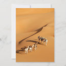 Search for camel thank you cards Desert