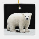Search for polar christmas tree decorations White bear