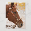 Search for body shape postcards Leaf